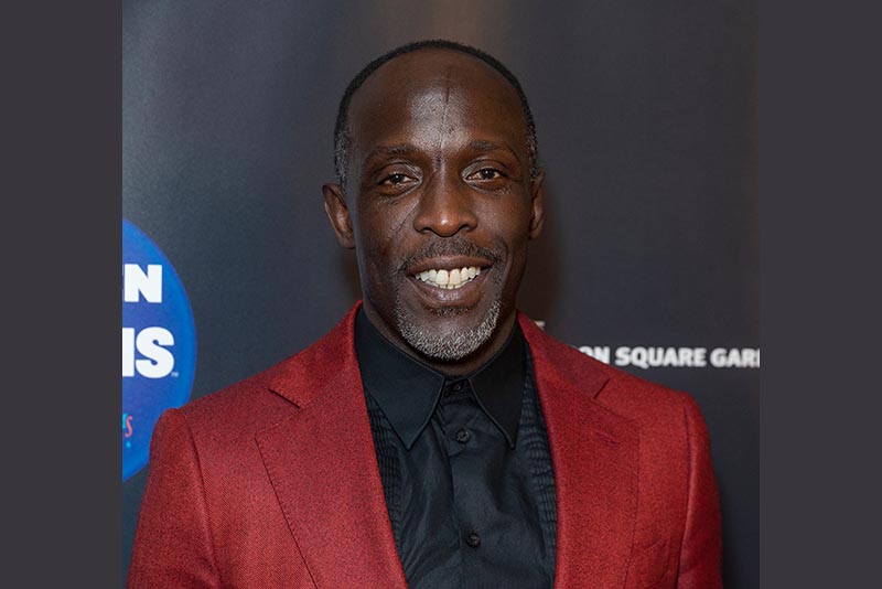 Michael K Williams’ struggle with drug addiction ended with his life from an over dose